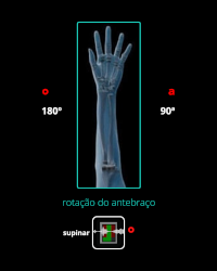 Cor Plano