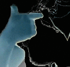 números ordinais Libras segundo(2º)