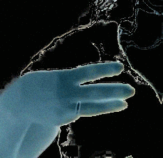 números ordinais Libras terceiro(3º)