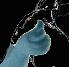 números ordinais Libras sexto(6º)