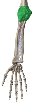 alfabeto colchete ([)